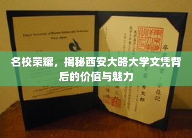名校荣耀，揭秘西安大略大学文凭背后的价值与魅力