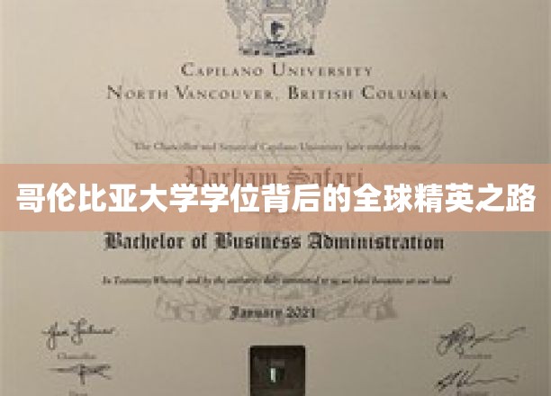 哥伦比亚大学学位背后的全球精英之路