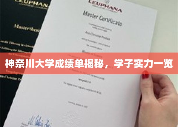 神奈川大学成绩单揭秘，学子实力一览