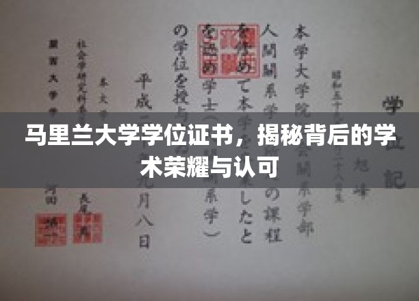 马里兰大学学位证书，揭秘背后的学术荣耀与认可