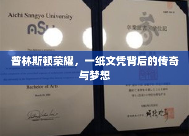 普林斯顿荣耀，一纸文凭背后的传奇与梦想