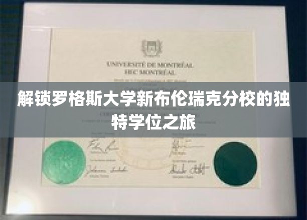 探索罗格斯大学新布伦瑞克分校的独特学位之旅