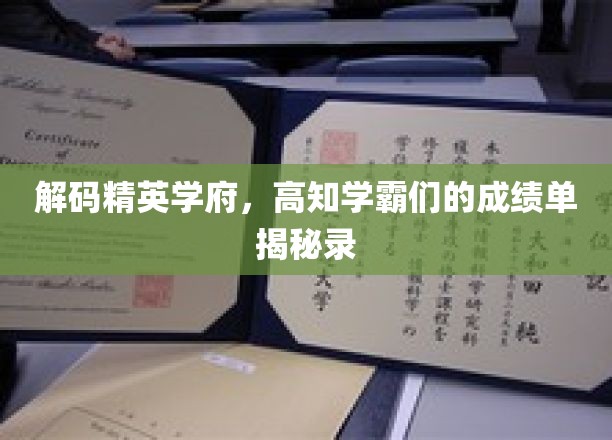 解码精英学府，高知学霸们的成绩单揭秘录