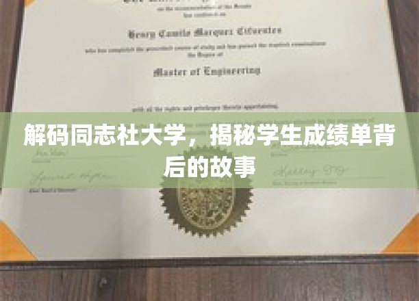 解码同志社大学，揭秘学生成绩单背后的故事