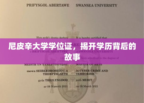 尼皮辛大学学位证，揭开学历背后的故事