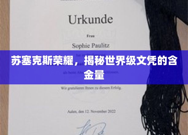 苏塞克斯荣耀，揭秘世界级文凭的含金量