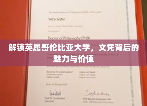 解锁英属哥伦比亚大学，文凭背后的魅力与价值