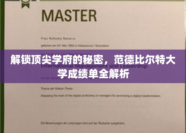 解锁顶尖学府的秘密，范德比尔特大学成绩单全解析