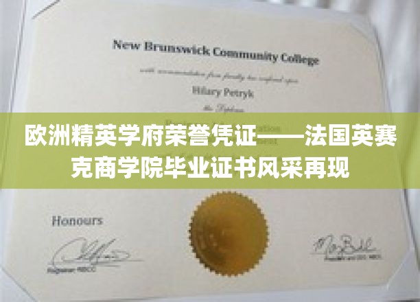 欧洲精英学府荣誉凭证——法国英赛克高等商业学院毕业证书风采再现