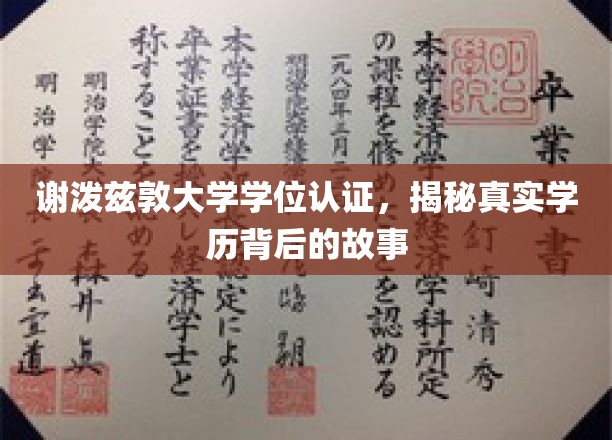 谢泼兹敦大学学位认证，揭秘真实学历背后的故事