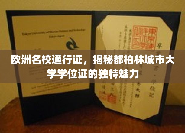 欧洲名校通行证，揭秘都柏林城市大学学位证的独特魅力
