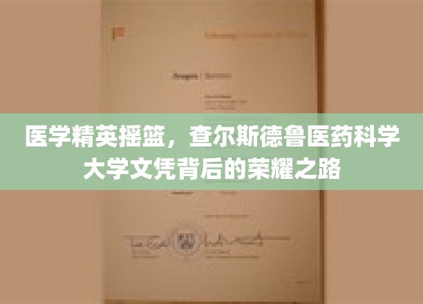 医学精英摇篮，查尔斯德鲁医药科学大学文凭背后的荣耀之路