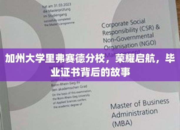 加州大学里弗赛德分校，荣耀启航，毕业证书背后的故事
