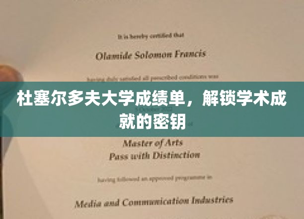 杜塞尔多夫大学成绩单，解锁学术成就的密钥