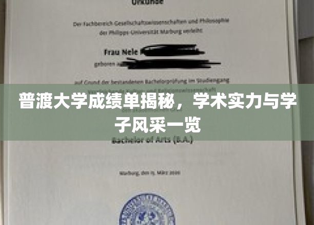 普渡大学成绩单揭秘，学术实力与学子风采一窥