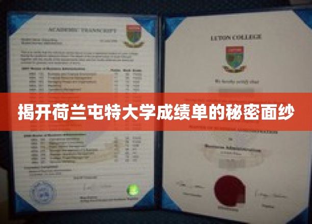 揭开荷兰屯特大学成绩单的秘密面纱