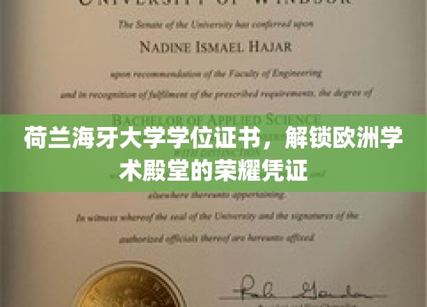 荷兰海牙大学学位证书，解锁欧洲学术殿堂的荣耀凭证