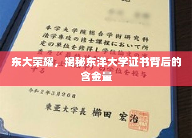 东大荣耀，揭秘东洋大学证书背后的含金量