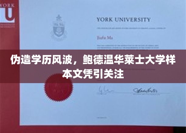 伪造学历风波，鲍德温华莱士大学样本文凭引关注