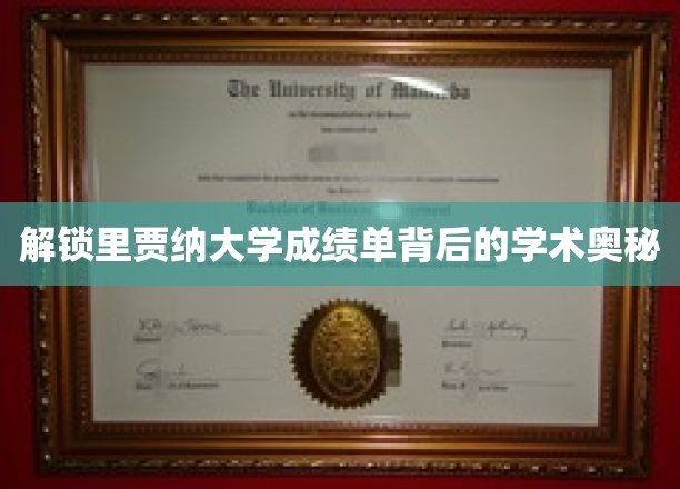 揭秘里贾纳大学成绩单背后的学术奥秘