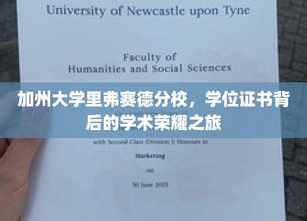 加州大学里弗赛德分校，学位证书背后的学术荣耀之旅