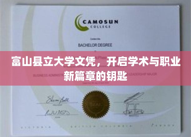 富山县立大学文凭，开启学术与职业新篇章的钥匙