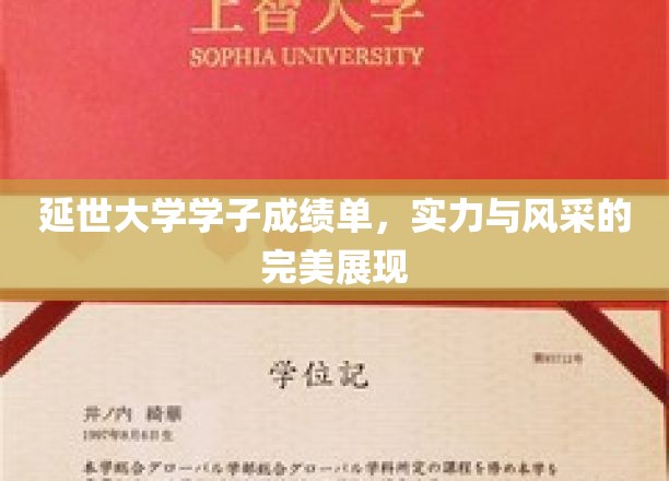延世大学学子成绩单，实力与风采的完美展现