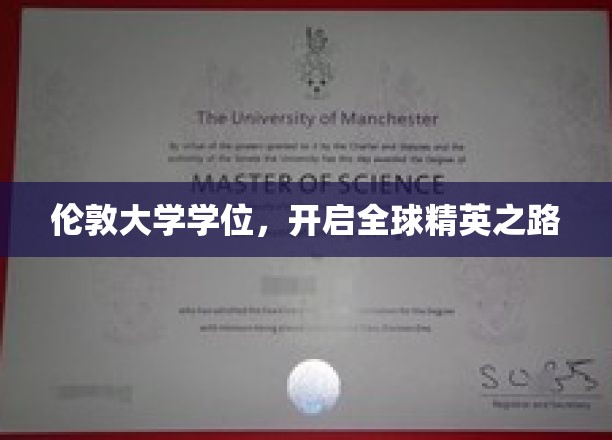 伦敦大学学位，开启全球精英之路