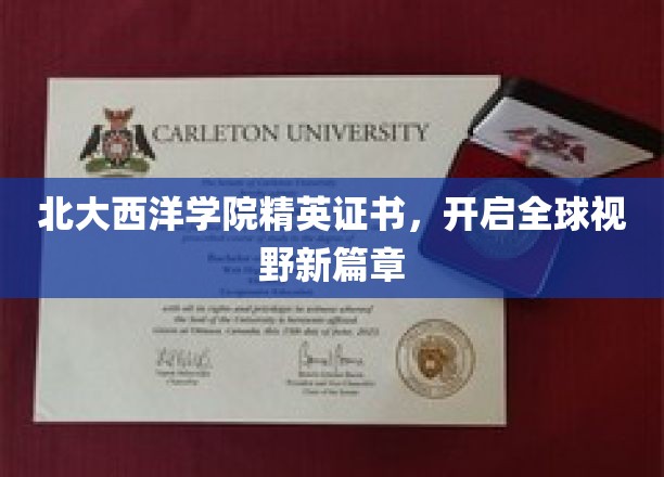 北大西洋学院精英证书，开启全球视野新篇章