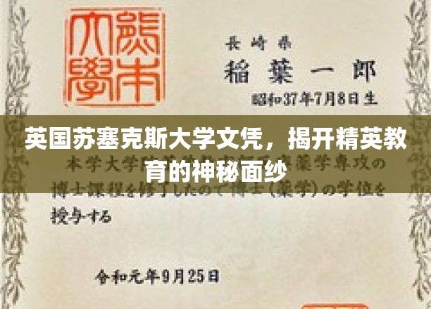英国苏塞克斯大学文凭，揭开精英教育的神秘面纱