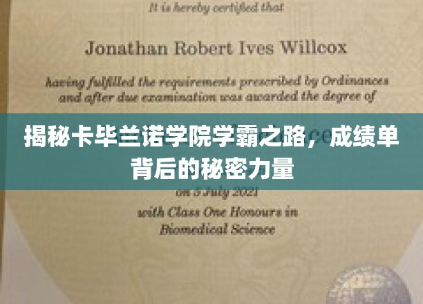 揭秘卡毕兰诺学院学霸之路，成绩单背后的秘密力量