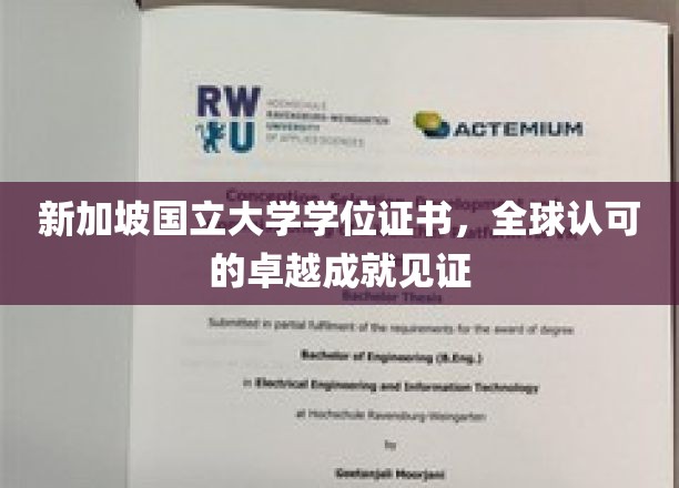 新加坡国立大学学位证书，全球认可的卓越成就象征