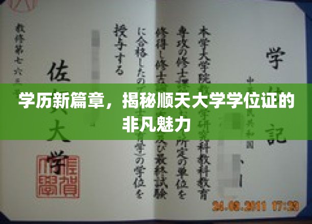 学历新篇章，揭秘顺天大学学位证的非凡魅力