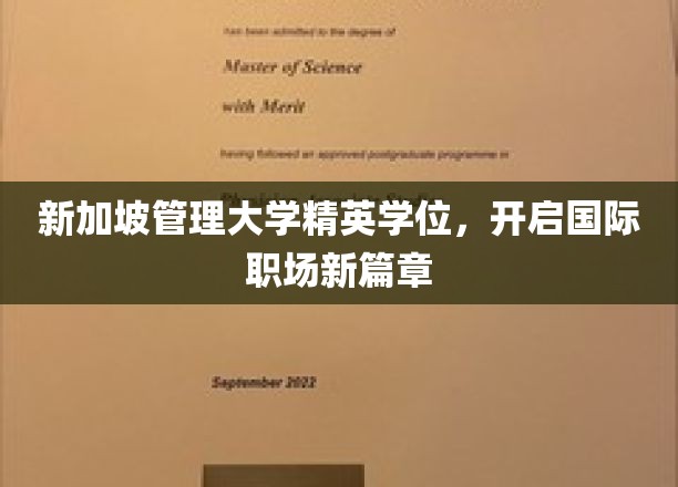 新加坡管理大学精英学位，开启国际职场新篇章