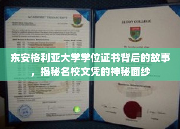 东安格利亚大学学位证书背后的故事，揭开名校文凭的神秘面纱