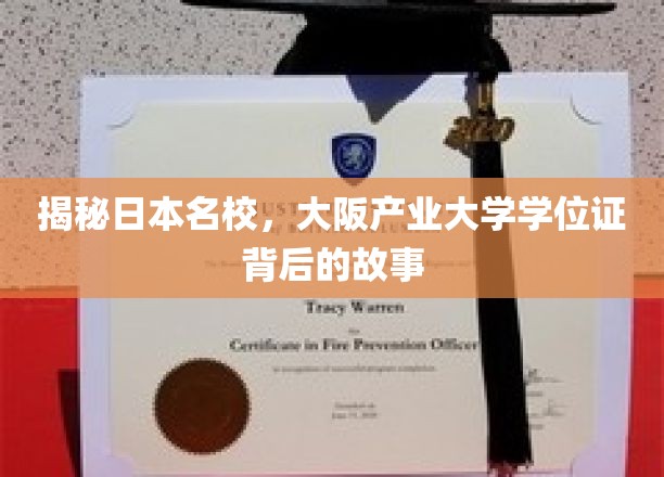 揭秘日本名校，大阪产业大学学位证背后的故事