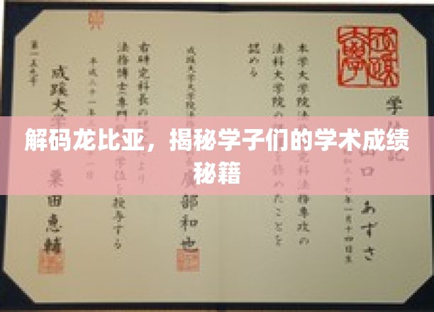 解码龙比亚，揭示学子们的学术成绩秘籍