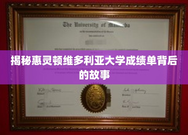 揭秘惠灵顿维多利亚大学成绩单背后的故事