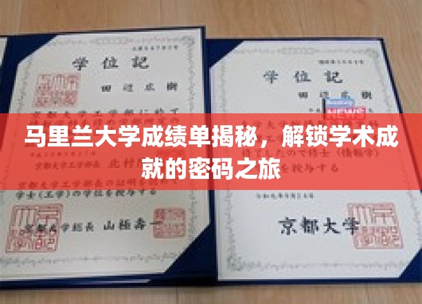 马里兰大学成绩单深度解析，探寻学术巅峰的秘密之旅