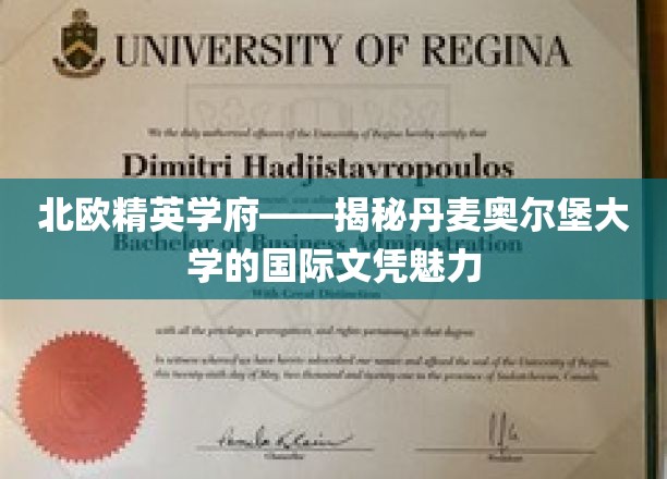 北欧精英学府——揭秘丹麦奥尔堡大学的国际文凭魅力