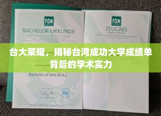 台大荣耀，揭秘台湾成功大学成绩单背后的学术实力
