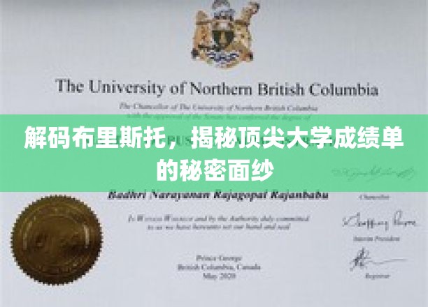 解码布里斯托，揭开顶尖大学成绩单的秘密面纱
