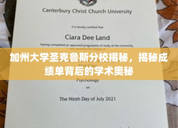 加州大学圣克鲁斯分校揭秘，揭秘成绩单背后的学术奥秘