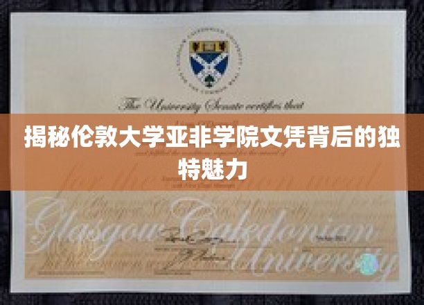 揭秘伦敦大学亚非学院文凭的独特魅力