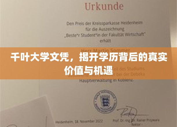 千叶大学文凭，揭开学历背后的真实价值与机遇