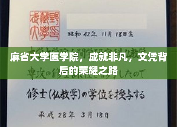 麻省大学医学院，成就非凡，文凭背后的荣耀之路