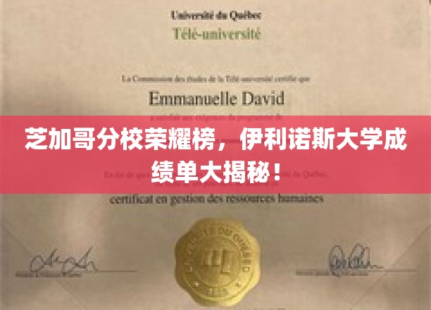 芝加哥分校荣耀榜，伊利诺斯大学成绩单大揭秘！