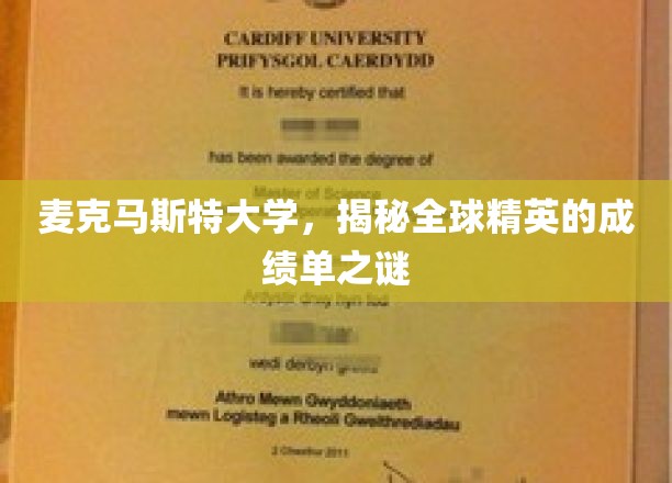 麦克马斯特大学，揭秘全球精英的成绩单之谜