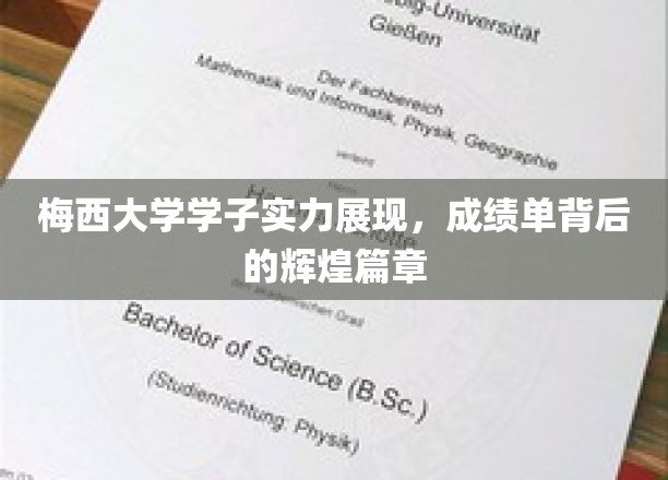 梅西大学学子风采展示，成绩单见证的辉煌历程