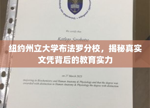 纽约州立大学布法罗分校，揭秘真实文凭背后的教育实力